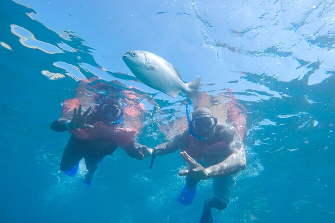 Snorkel in Luxury Sailing Boat + Food and Premium drink! - Who will enjoy this Cabo sailing trip