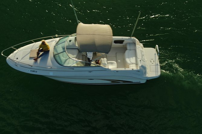 Snorkel & Sandbar on Private Searay Yacht 25ft in Cap Cana Marina ,Punta Cana - Practical planning for a smoother outing