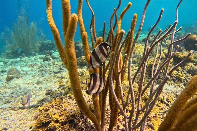 Snorkel Trip on a Catamaran Yacht All Inclusive Experience - The mood on board