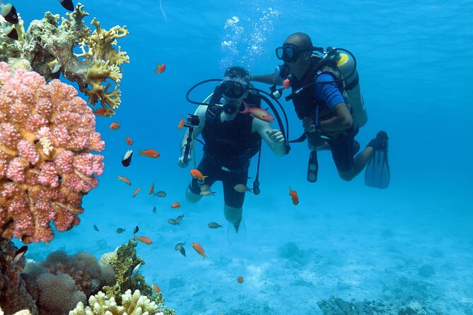 Snorkeling Day White Island & Ras Mohamed With Top VIP yacht - Ras Mohamed: the first major water stop