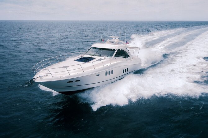 Steel Aweigh 65ft Sea Ray Yacht Rental - Whale watching and Cabo’s open water