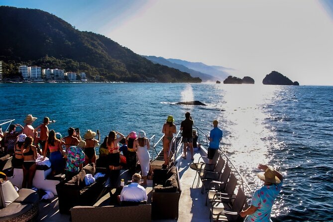 Sunsets and Whales Mega Yachts ALL INCLUSIVE: Puerto Vallarta - Searching Banderas Bay for humpback whales