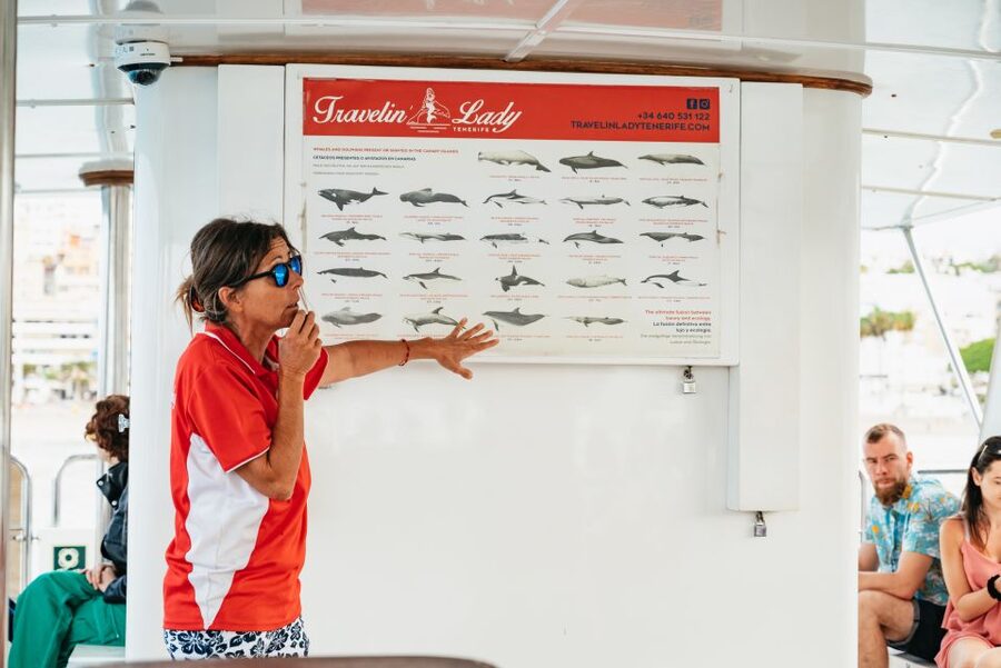 Tenerife: Eco-Yacht Whale and Dolphin Watching and Swimming - Key points to know before booking