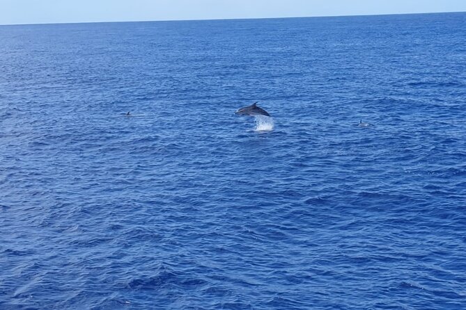 Tenerife Los Cristianos: Whale and Dolphin Eco-Yacht and Swim Stop - The swim stop near the end of the cruise