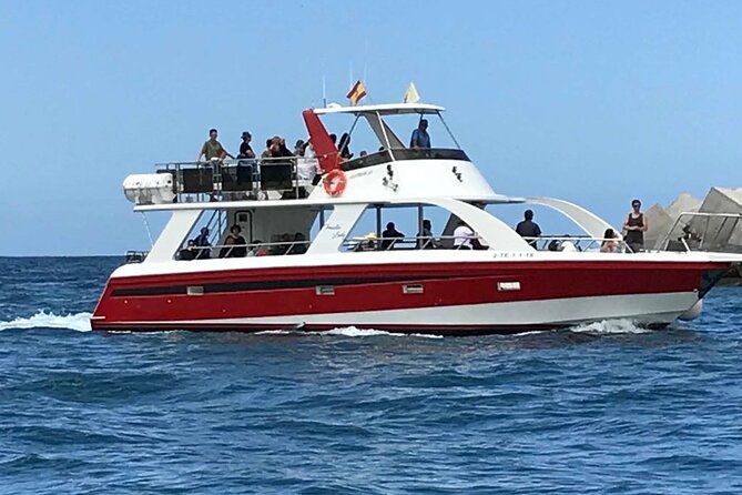 Tenerife Los Cristianos: Whale and Dolphin Eco-Yacht and Swim Stop - How the short duration affects the value
