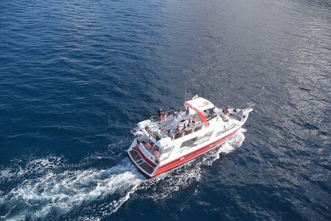 Tenerife Los Cristianos: Whale and Dolphin Eco-Yacht and Swim Stop - Cancellation and booking details that matter
