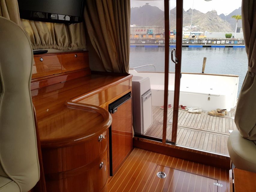Tenerife south: safari with luxury boat , animals encounters - Should you book the Santa Marta Boats cruise?