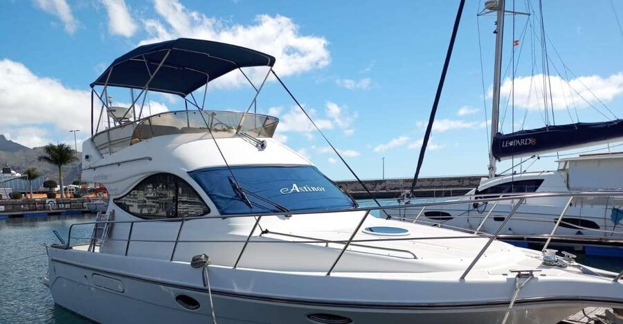 Tenerife south: safari with luxury boat , animals encounters - Leaving Las Galletas for Tenerife’s south coast