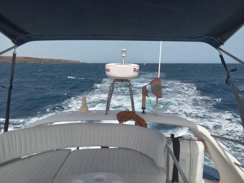 Tenerife south: safari with luxury boat , animals encounters - The halfway swimming stop