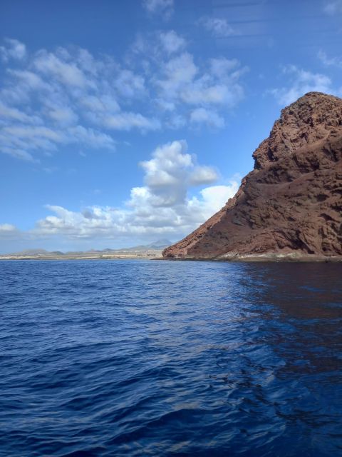 Tenerife south: safari with luxury boat , animals encounters - The crew and the tone of the outing