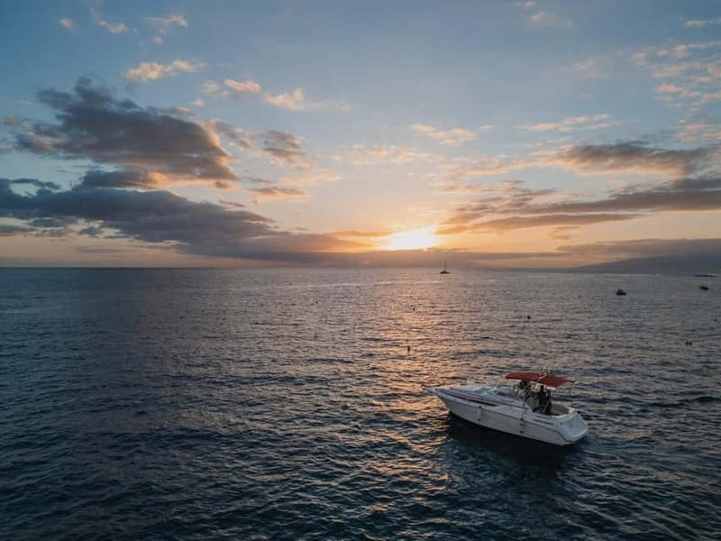 Tenerife: VIP 3 hour Private Luxury Boat Charter Experience - Setting out from Puerto Colón in Costa Adeje