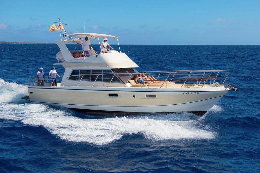 Tenerife: Whale tour and sea swim on a yacht for 22 people - Key points to know before you book
