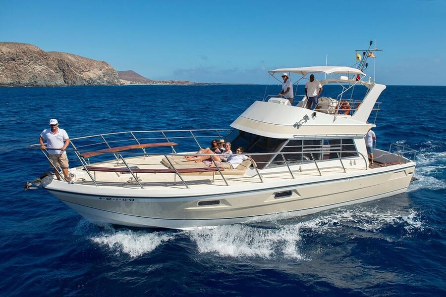 Tenerife: Whale tour and sea swim on a yacht for 22 people - Setting out from Los Cristianos