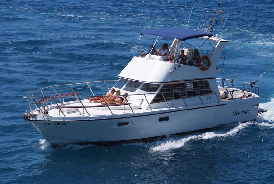 Tenerife: Whale tour and sea swim on a yacht for 22 people - The Neptuno yacht and its passenger limit