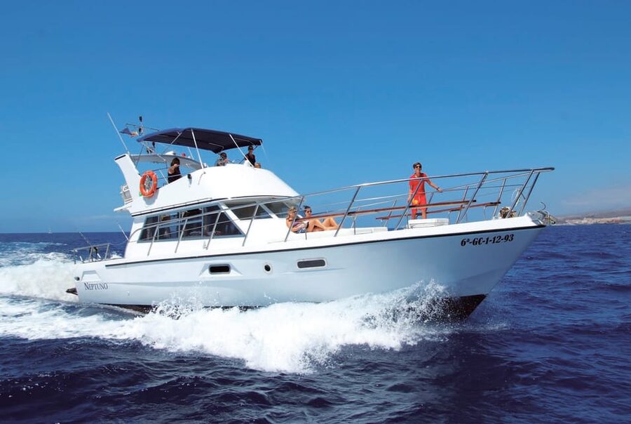 Tenerife: Whale tour and sea swim on a yacht for 22 people - Who will enjoy this trip most