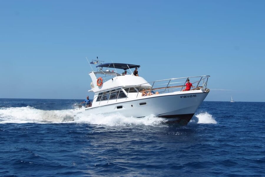 Tenerife: Whale tour and sea swim on a yacht for 22 people - Practical packing and comfort tips