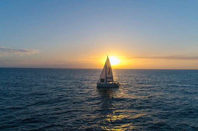 Tenerife Whale Watching and Snorkeling Yacht Trip - Practical booking details and cancellation terms