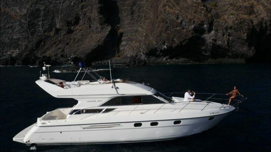 Tenerife: Whales and Snorkeling Tour on a Luxury Yacht - Key points to know before booking