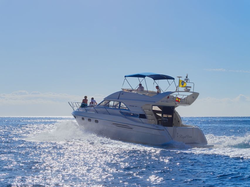 Tenerife: Whales and Snorkeling Tour on a Luxury Yacht - Tapas, cava, and a surprisingly substantial lunch