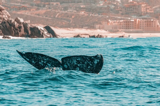 The Finest Private Yacht Experience in Cabo - What the private format is worth