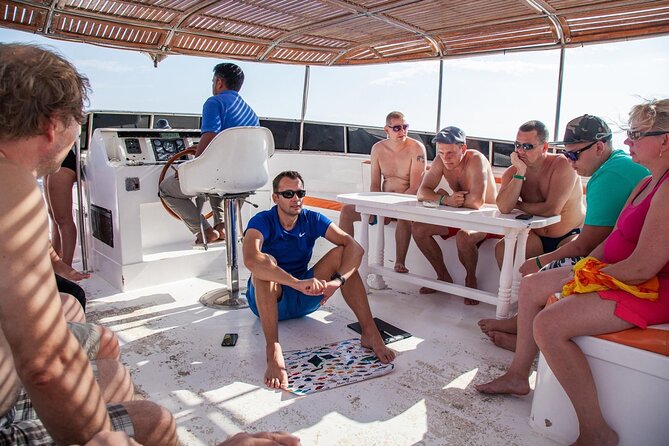 Tiran Island Snorkeling Experience by Yacht Sharm El Sheikh - What you actually see at Tiran Island