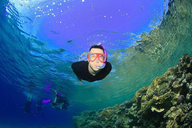 Tiran Island Snorkeling Experience by Yacht Sharm El Sheikh - How much value do you get for $30?