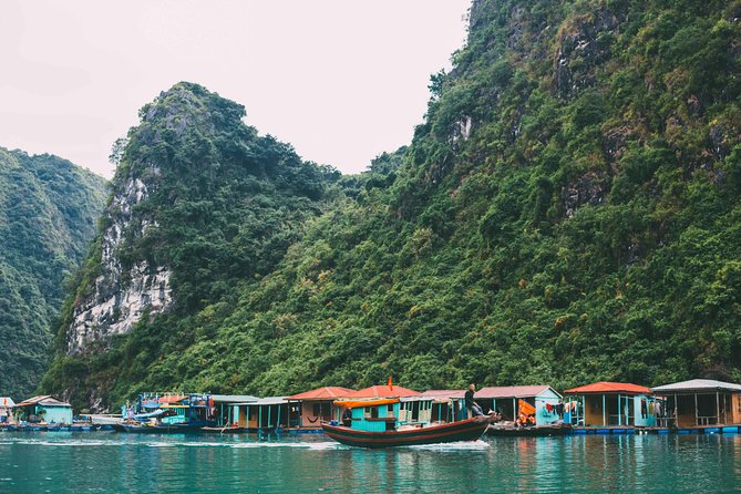 Top 1 Ha Long 1-Day Luxury Cruise 5 Star Experience - Kayaking or bamboo boat near Bo Hon