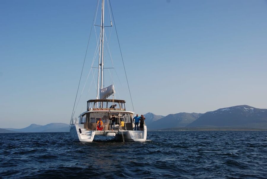 Tromsø: Fjord and Islands Luxury Catamaran Cruise - Is $208 fair for three hours?