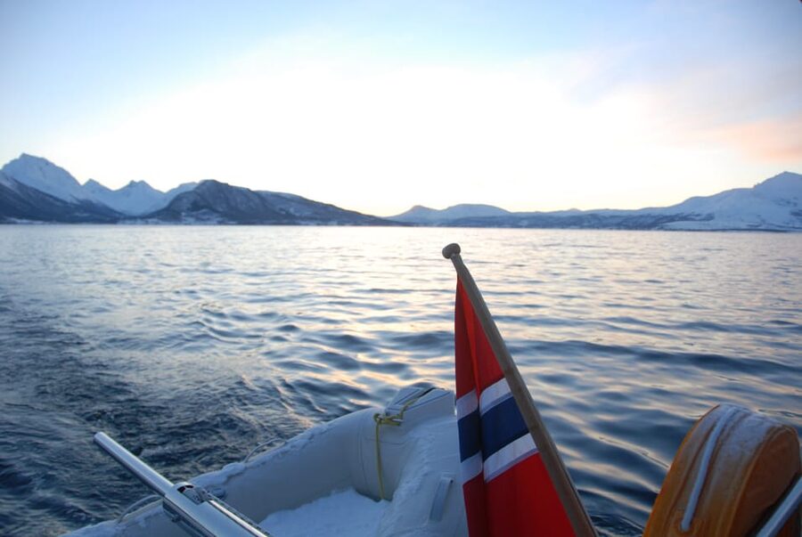 Tromsø: Fjord and Islands Luxury Catamaran Cruise - Who will enjoy the Arctic Princess most?