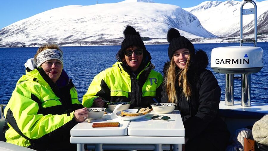 Tromsø: Fjord Cruise by Luxury Yacht - Key points to know before booking