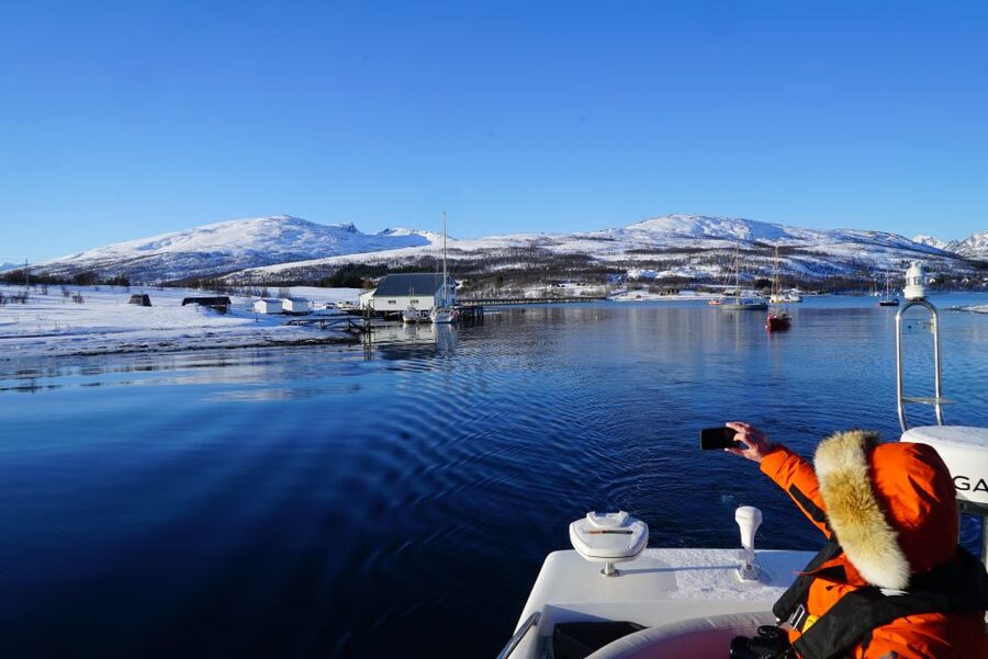 Tromsø: Fjord Cruise by Luxury Yacht - Fishing, steering, and a more active cruise
