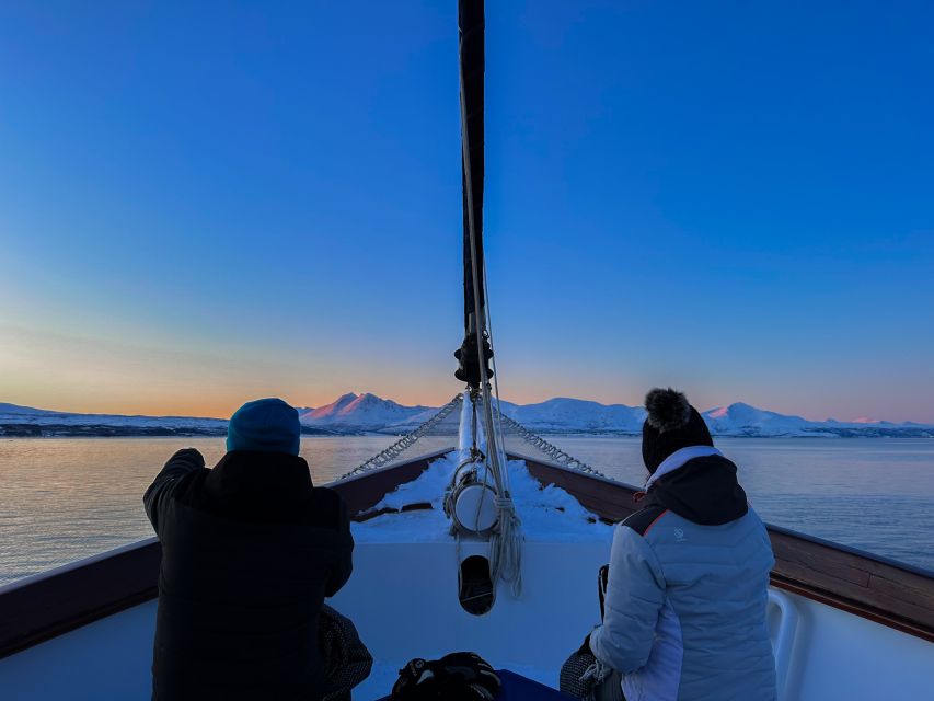 Tromsø: Luxury Polar Fjord Cruise w/ Hot Tub & Polar Plunge - Key points to know before booking