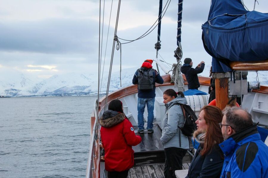 Tromsø: Luxury Polar Fjord Cruise w/ Hot Tub & Polar Plunge - Should you book Stella Oceana?