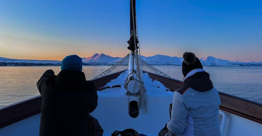 Tromsø: Luxury Polar Fjord Cruise w/ Hot Tub & Polar Plunge - Warm saloon, outdoor decks, and Arctic comfort