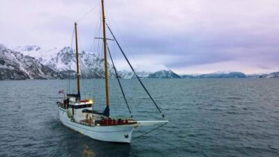 Tromsø: Luxury Polar Fjord Cruise w/ Hot Tub & Polar Plunge