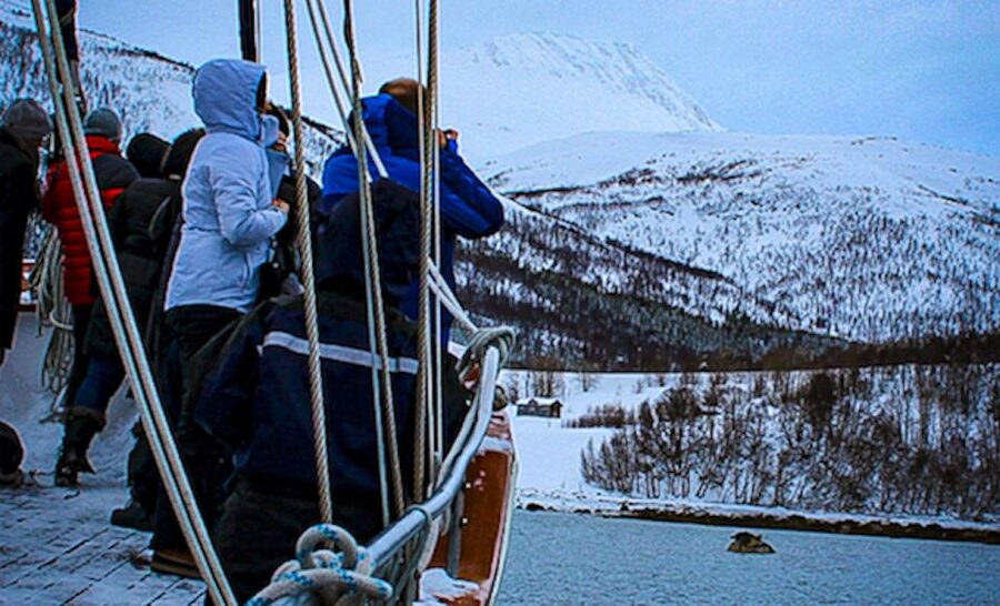 Tromsø: Luxury Polar Fjord Cruise w/ Hot Tub & Polar Plunge - The hot tub and the Norwegian Sea plunge