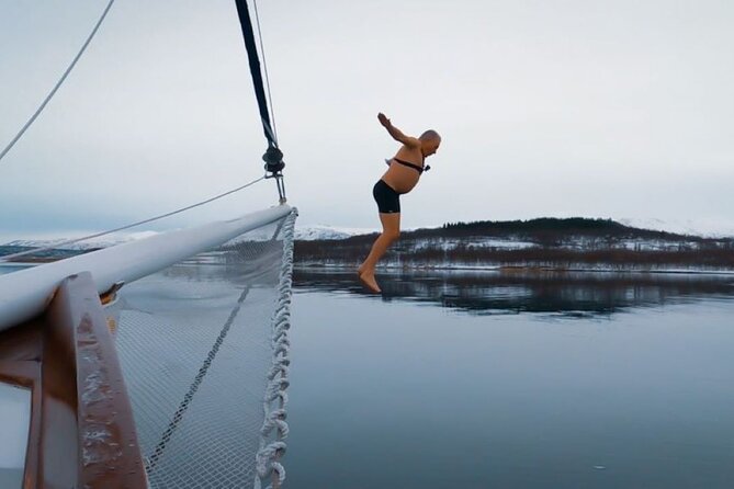 Tromso Luxury Sailing Yacht Polar Fjord Cruise with Lunch - Meeting Captain Kenneth and guide Sachi