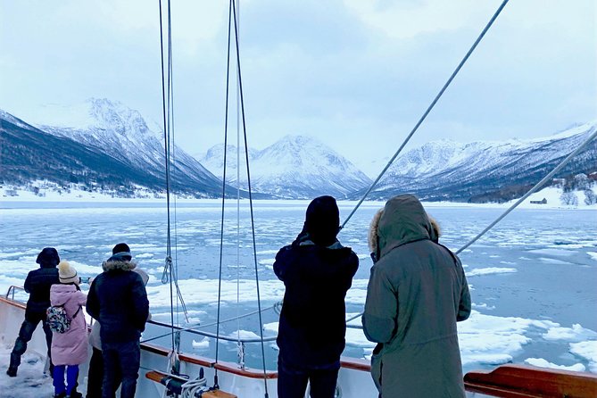 Tromso Luxury Sailing Yacht Polar Fjord Cruise with Lunch - How the price compares with the experience