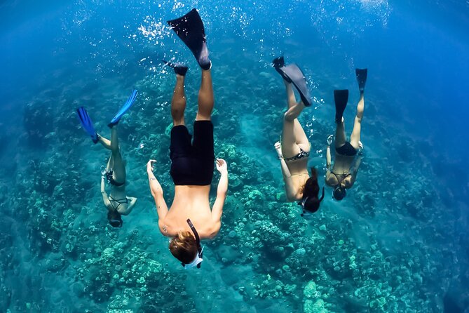 Turtles & Tacos Luxury Catamaran Snorkel - Setting out from Maalaea Harbor at 11 a.m.