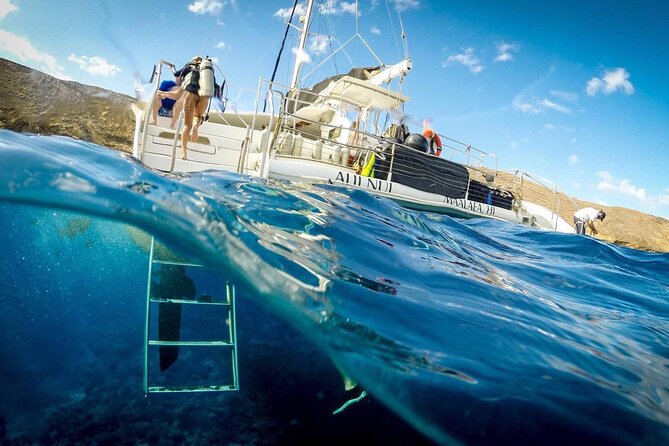 Turtles & Tacos Luxury Catamaran Snorkel - What the water stop feels like for different swimmers