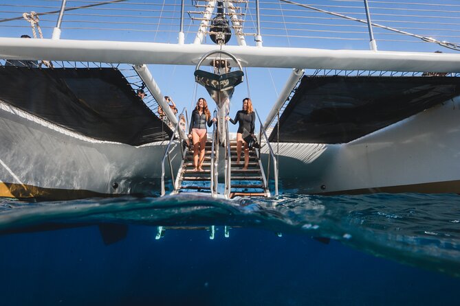Turtles & Tacos Luxury Catamaran Snorkel - Tacos, margaritas, and local beer after the swim