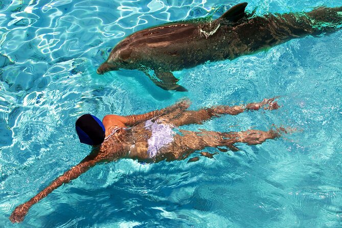 USVI Private Boat Charters - New, Fast Powerboats for Half and Full Day - Snorkeling, wildlife, and time in the water
