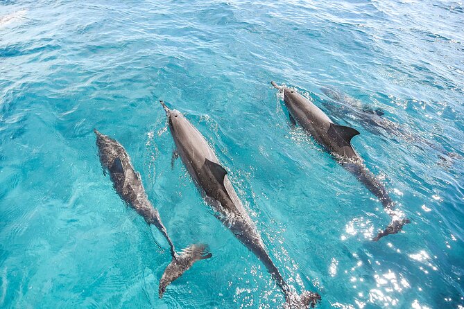 Waikiki's Premier Small Group Sunset Yacht + Tasting - Who Will Get the Most From This Cruise?