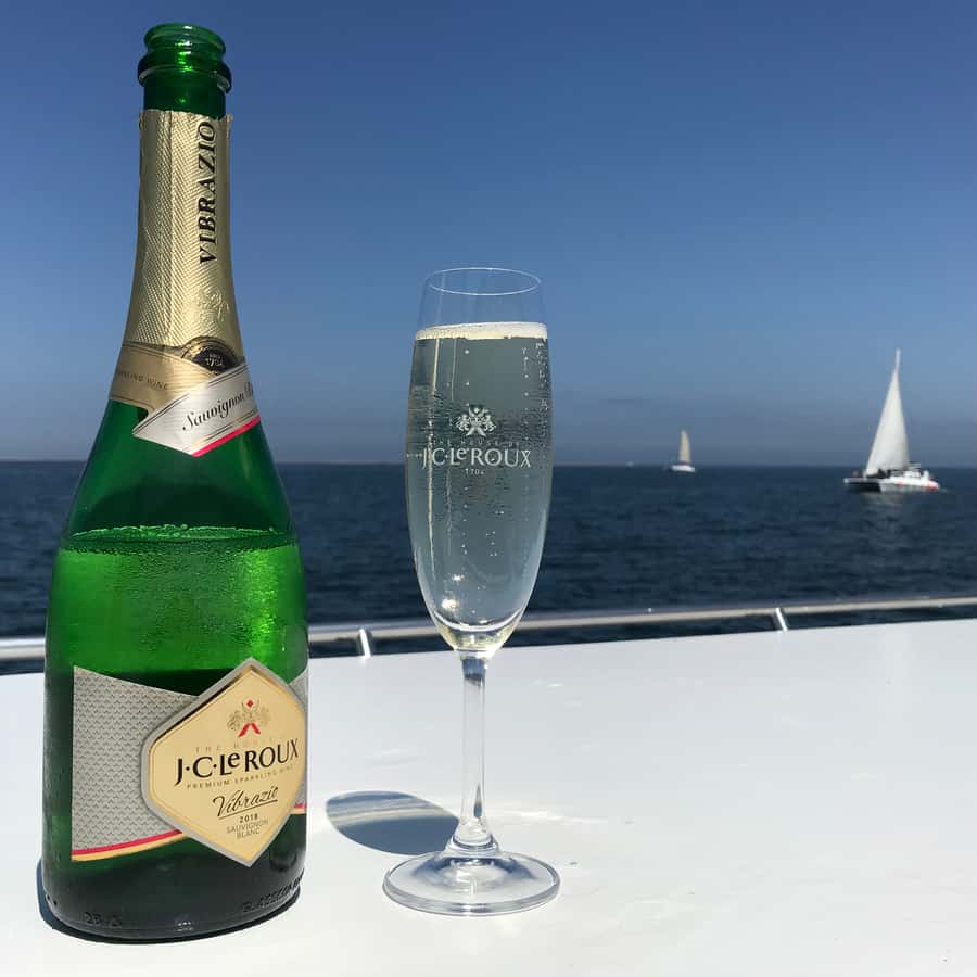 Walvis Bay: Marine Big 5 Luxury Catamaran Tour - Timing, languages, and cancellation flexibility