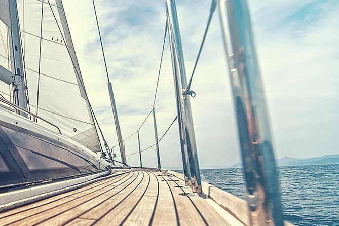 Whale and Dolphin Watching Yacht Trip in Puerto Colon - Baguettes, drinks, and a relaxed onboard rhythm