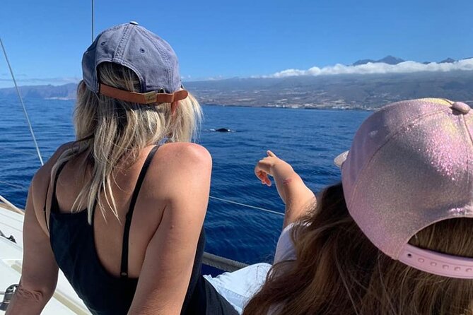 Whale and Dolphin Watching Yacht Trip in Puerto Colon - Sea conditions, comfort, and the boat itself