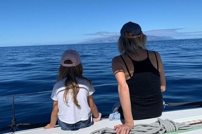 Whale and Dolphin Watching Yacht Trip in Puerto Colon - Is the $62.56 price good value?