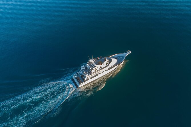 Whale Watching Cruise on a Yacht in Reykjavik - The boat, viewing areas, and onboard comfort