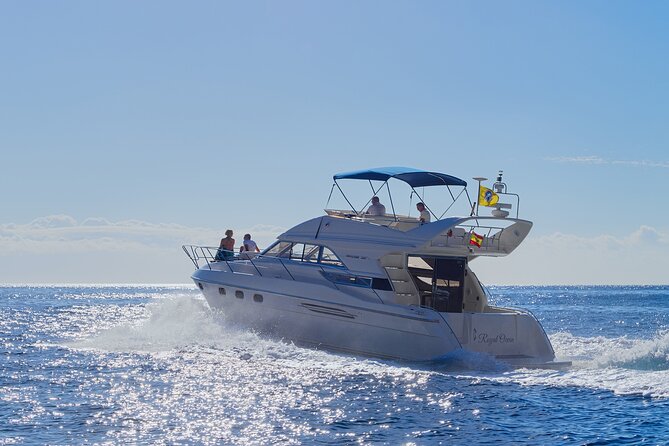 Whales and Dolphins excursion on a Luxury Yacht in Canary Islands - Key points to know before booking