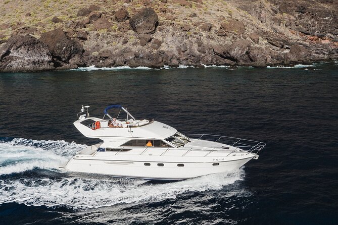 Whales and Dolphins excursion on a Luxury Yacht in Canary Islands - A small yacht from Las Galletas